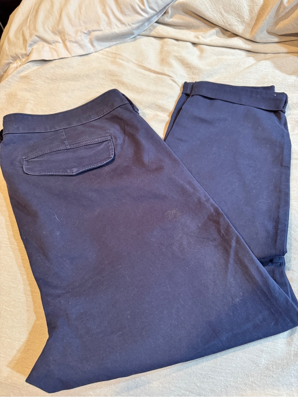 Torrid Navy Blue Dress Pants